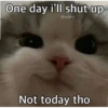 meow 2 5