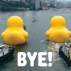 BYE! 000000