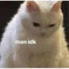 meow 2 8