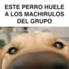 ESTE PERRO HUELE
A LOS MACHIRULOS
DEL GRUPO