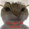 meow 2 9