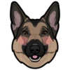 Max 5