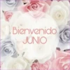 HOLA JUNIO ✨️ 6