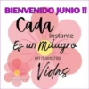 HOLA JUNIO ✨️ 8