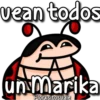 florksito efelante ᥫ᭡ 12