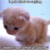 meow 2 11
