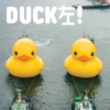 DUCK左!