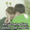 escúchame bien
pedazo de imbécil