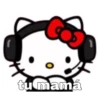 Hello Kitty 16
