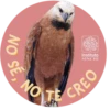 Conoce más fauna amazónica en www.sinchi.org.co 7
