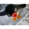 pingu7-11 9