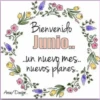HOLA JUNIO ✨️ 14