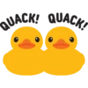 Double Ducks 17