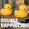 DOUBLE HAPPINESS!!