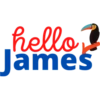 American Male Names  Decoration Bird Gift 17