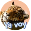 Conoce más fauna amazónica en www.sinchi.org.co 9