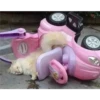 gatitos 21