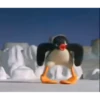 pingu7-11 13