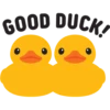 Double Ducks 20