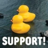 SUPPORT!