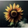 Sunflowers🌻❥☯︎ͫ2🇲🇽Clásica 18