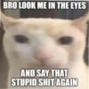 meow 2 14
