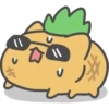 11
ㄴ