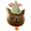 ABZ: we are cats united 6