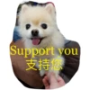 HK Lion King 仔仔 1 18