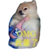 HK Lion King 仔仔 1 19