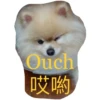 HK Lion King 仔仔 1 20