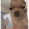 memeland_0 5