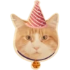 ABZ: we are cats united 7