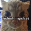 meow 2 15
