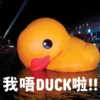 我唔DUCK啦!!