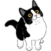 ABZ: we are cats united 8