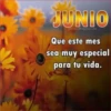 HOLA JUNIO ✨️ 22