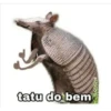 +1 pacote 25