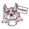 САЛАМ