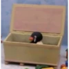 pingu7-11 18
