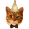 ABZ: we are cats united 9