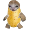 Elolu roti Family 12