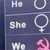 memes that make you walk on walls 25