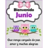 HOLA JUNIO ✨️ 25