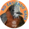 Conoce más fauna amazónica en www.sinchi.org.co 11