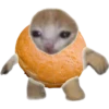 Elolu roti Family 13