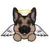 Max 9