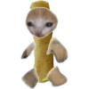Elolu roti Family 16