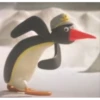 pingu7-11 24
