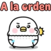 Baby chicken 6